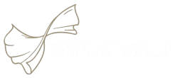 Интернет магазин шелковых платков inspiration.lv